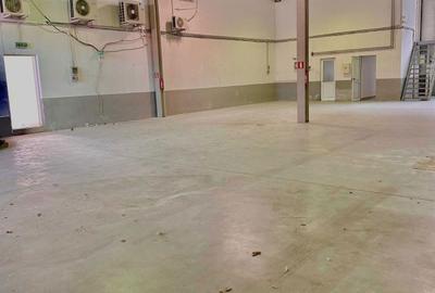 Spațiu comercial, de 450 mp, în Micălaca - 2