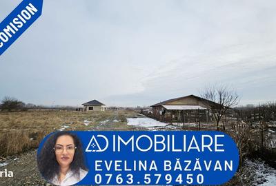 Spațiu comercial, în Turcinești - 6