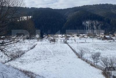 Teren de 7500 mp, în Central - 4