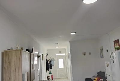 Casă cu 3 camere cu Teren 250 Mp în Izvin - 8