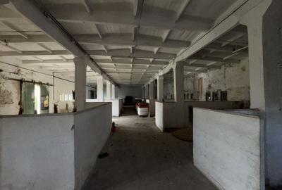 Eforie Sud Depozit Parter + Mezanin cu rampă Auto și CF - 2