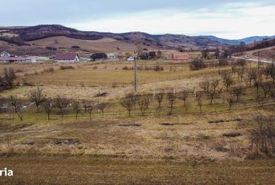 Teren de 1500 mp, în Ciurila - 4