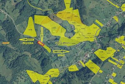 Teren agricol extravilan de 2000 mp, în Peștera - 11