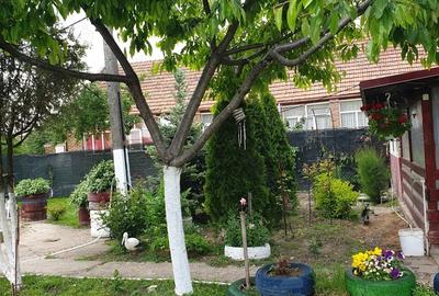 Vind casa in comuna Varias la 40 km de Timi?oara - 5