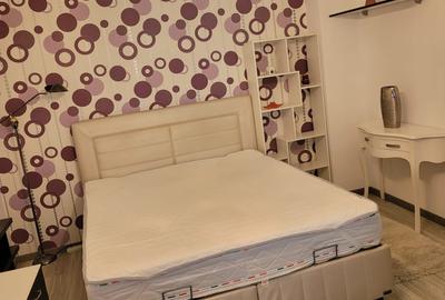 Garsonieră decomandată, mobilată în Dristor - 2