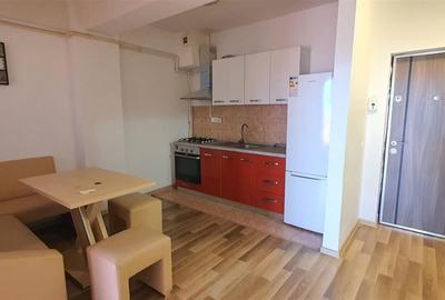 Apartament cu 2 camere nedecomandat, mobilat în Exterior Sud - 16