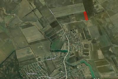Teren de 15200 mp, în Corbeanca - 3