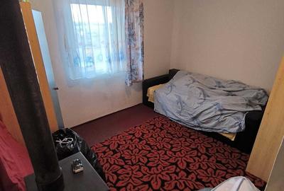 Apartament cu 2 camere decomandat în Cărpiniș - 5