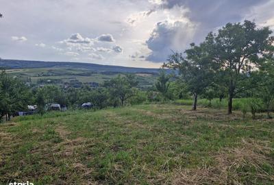 Teren de 740 mp, în Tomești - 3