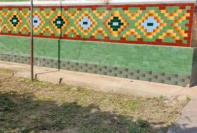 Vand casa in comuna strunga sat farcaseni - 3