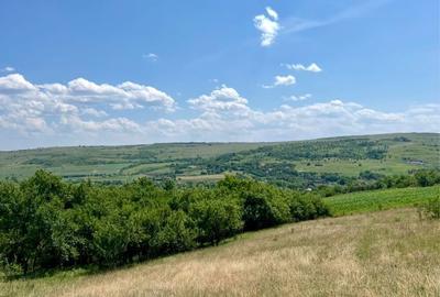 Teren de 9700 mp, în Borșa - 1