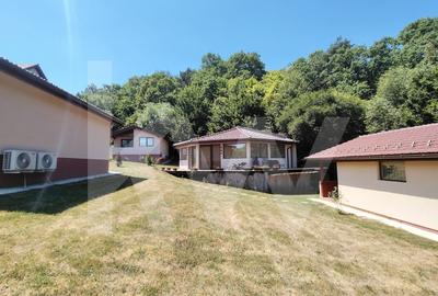 4 Casute de vacanta cu teren de 2000 mp liberi Cisnadioara - 3