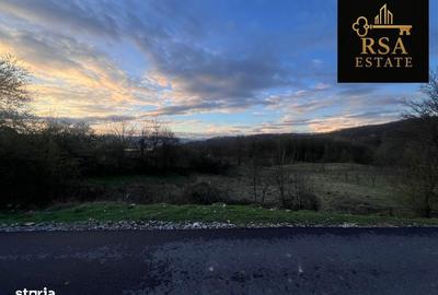 Teren de 2200 mp, în Goranu - 4