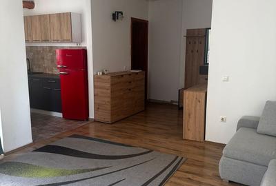 Garsonieră, mobilată în Aradului - 9