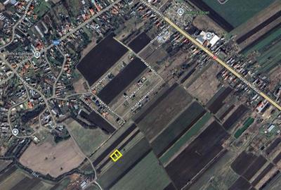 2 loturi de 612mp, 30 de min de centrul Bucurestiului, DN71 Baldana pret fix - 1