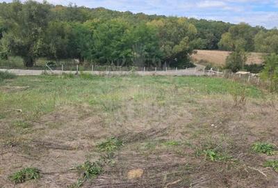 Teren de 2700 mp, în Plopu - 3