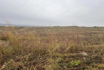 Teren de 11600 mp, în Valea Lupului