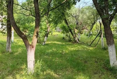 Casă în Central - 3