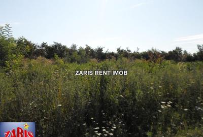 Teren de 1114 mp, în Tătărani - 3