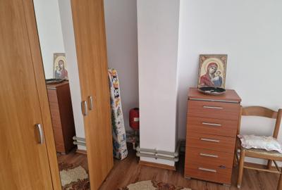 Vila P+E si teren intravilan 1,5Ha,cu zavoi+iaz,lac peste si livada-investitie - 7