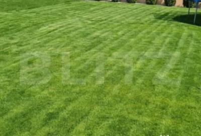 Casă cu 5 camere cu Teren 500 Mp în Central - 2