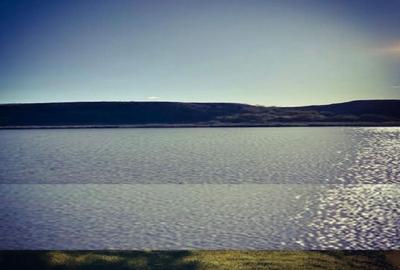 Teren de 131000 mp, în Piersica - 8