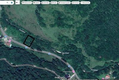 Teren de 1100 mp, în Glăjărie - 1