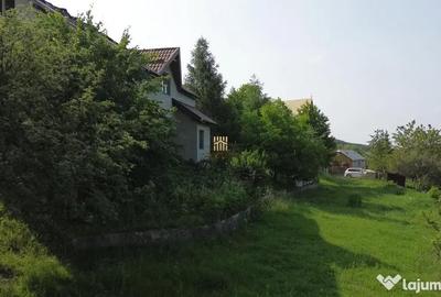 Teren de 4863 mp, în Adâncata - 2