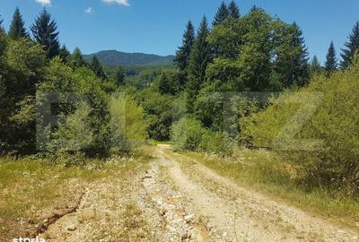 Spațiu comercial, în Dâmbul Morii - 2