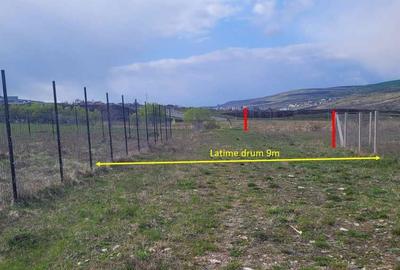 Spațiu comercial, în Central