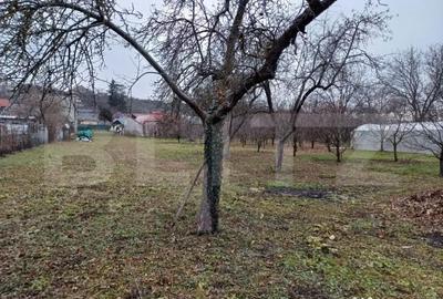 Teren de 2497 mp, în Turda - 6
