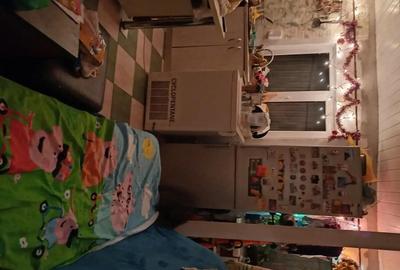 Casă cu 2 camere cu Teren 80 Mp în Rahova - 3