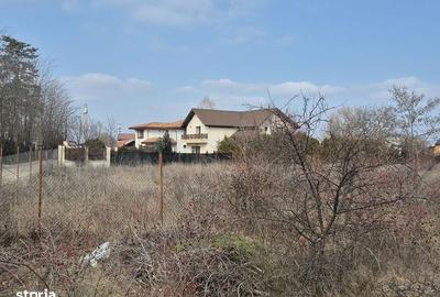 Spațiu comercial, în Balotești - 3