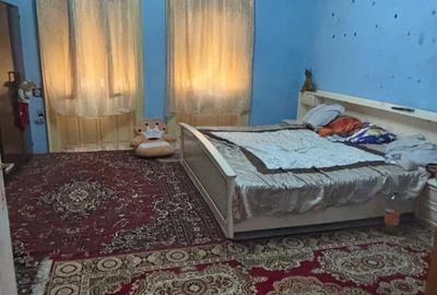 Casa in satul gelu - 8