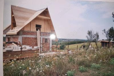 Casă cu 2 camere cu Teren 4000 Mp în Bârnova - 11