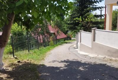 Casă cu 3 camere cu Teren 1400 Mp în Griviței - 6