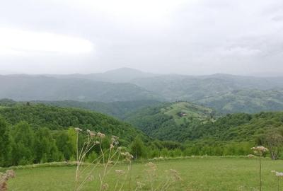 Teren agricol extravilan de 20340 mp, în Poiana Mărului - 5