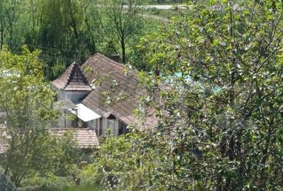 Duplex cu 2 camere de vanzare in Copaceni - 2