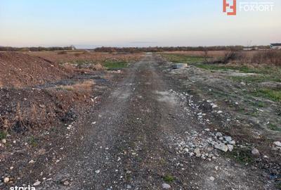 Spațiu comercial, în Ghiroda - 4