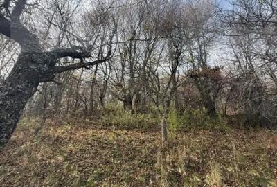 Teren de 20424 mp, în Cerbăl - 5