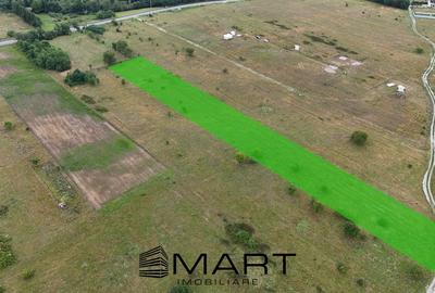 Teren Construcții intravilan de 5000 mp, în Avrig - 2