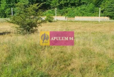 Teren de 744 mp, în Periferie - 13