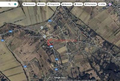 Teren intravilan Barnova Todirel - 9