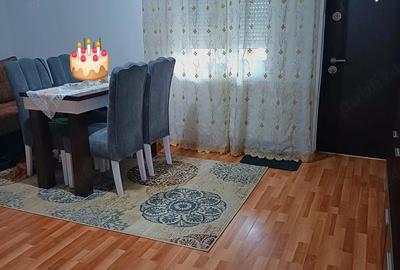 Apartament cu 2 camere semidecomandat în Vișan - 2