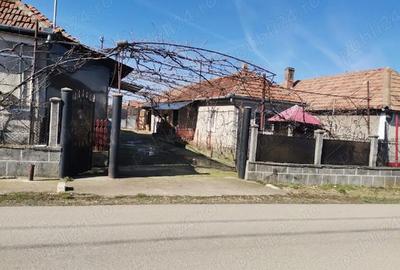 Casă cu 3 camere cu Teren 1013 Mp în Bogei - 2