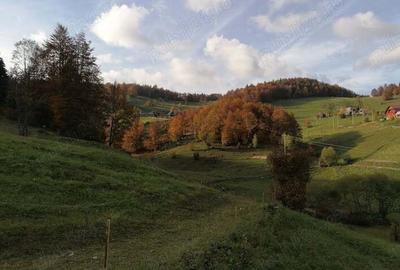 Inima Transilvaniei Inima Transilvaniei - 2