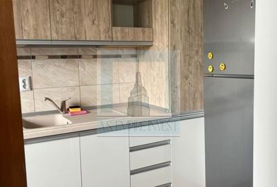 Apartament cu 2 camere semidecomandat, mobilat în Rulmentul - 6