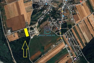 Domnesti, Teghes, teren la padure, str. Argesului, sup. 5000mp, d=40m - 1