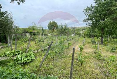 Casă individuală cu 3 camere cu Garaj în Oancea - 23