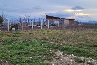 Teren de 600 mp, în Central